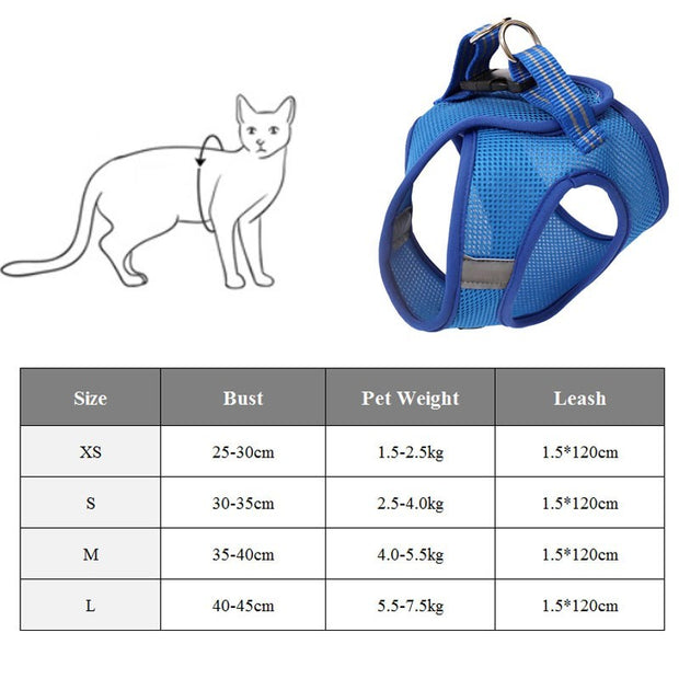 Anti-strike cat traction cat harness