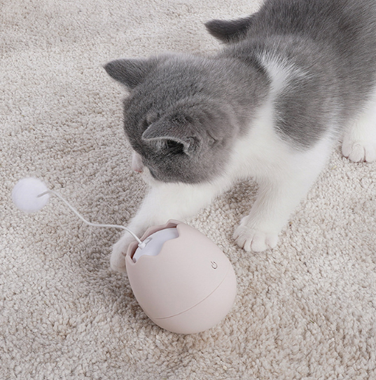 Divertenti giocattoli per gatti artefatti per gatti